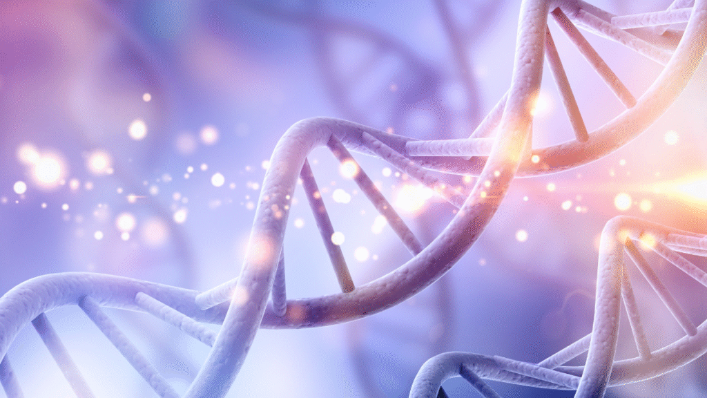 An Image of Genetics and DNA