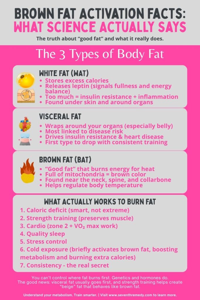 Brown Fat Activation Facts