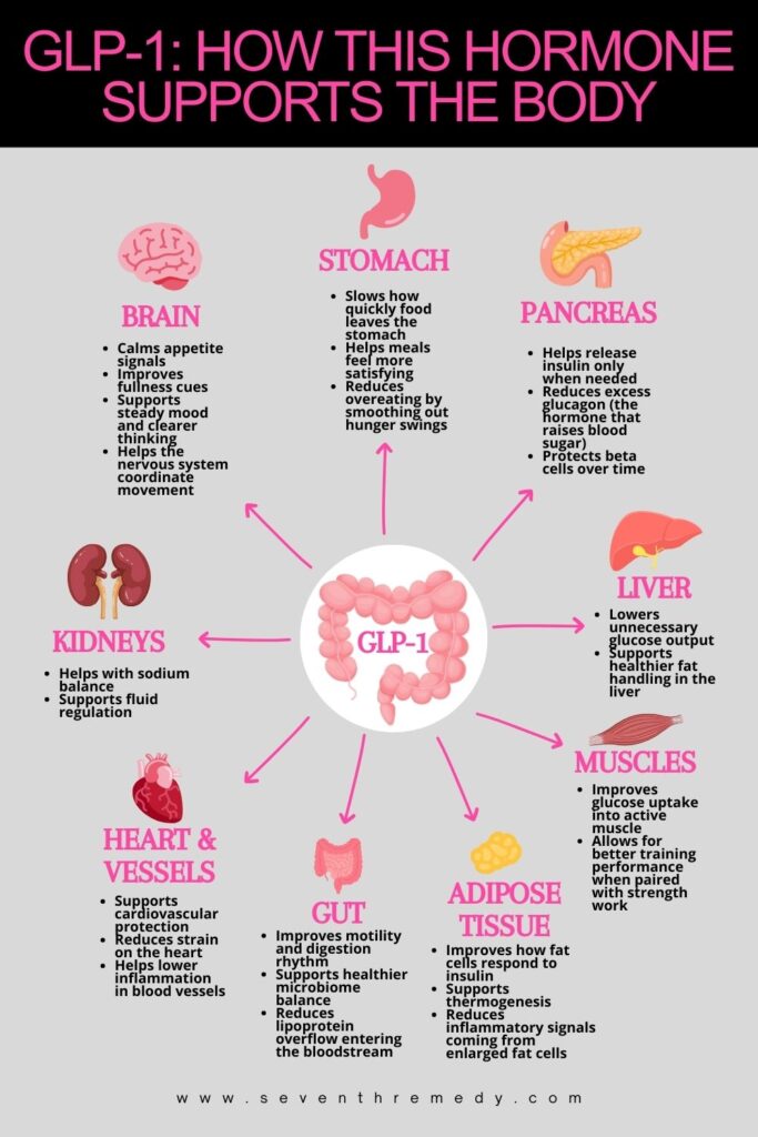 How GLP-1s Work In the Body
