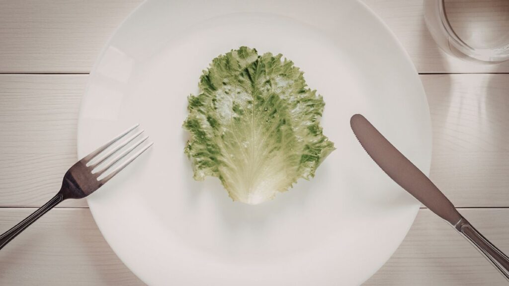 Single leaf of lettuce on a plate