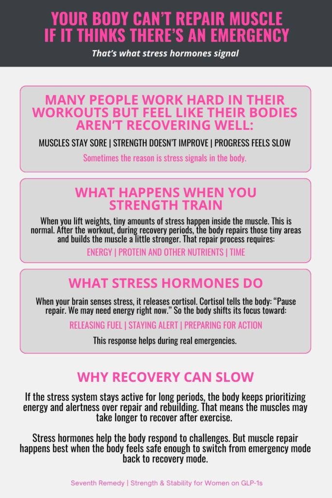 Your Body Can’t Repair Muscle